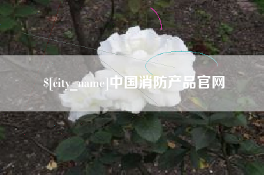 日照中国消防产品官网