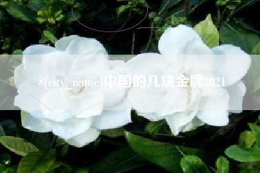 日照中国的几块金牌2021