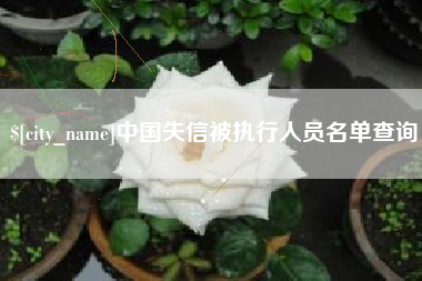 日照中国失信被执行人员名单查询