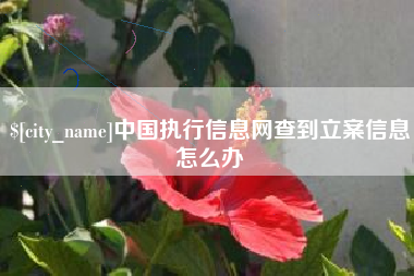 日照中国执行信息网查到立案信息怎么办