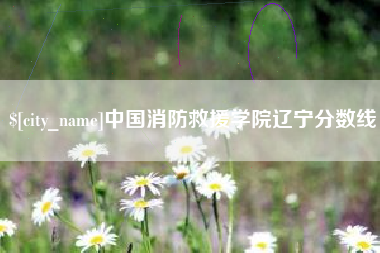 日照中国消防救援学院辽宁分数线