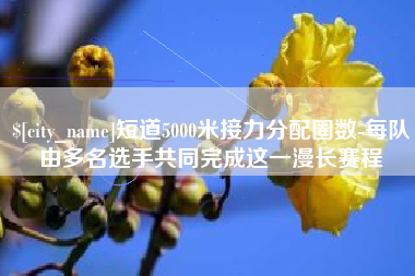 日照短道5000米接力分配圈数-每队由多名选手共同完成这一漫长赛程