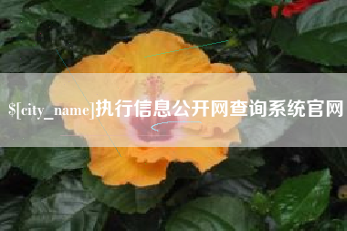 日照执行信息公开网查询系统官网