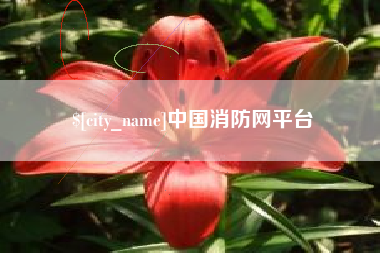 日照中国消防网平台