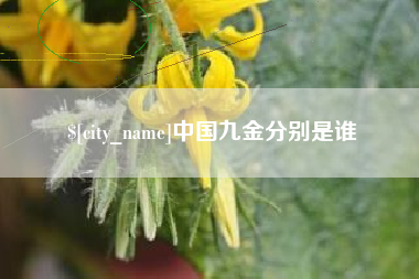 日照中国九金分别是谁