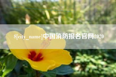 日照中国消防报名官网2020