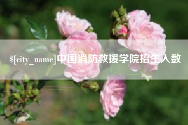 日照中国消防救援学院招生人数