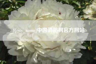 日照中国消防网官方网站