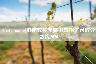 日照消防救援学院山东招生录取分数线2020