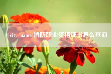 日照消防职业资格证书怎么查询