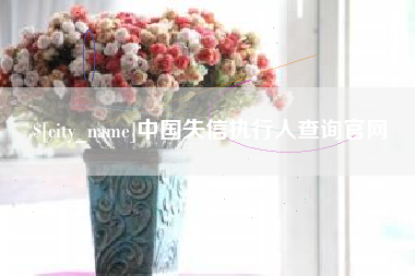 日照中国失信执行人查询官网