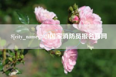 日照2021国家消防员报名官网