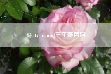 日照王子豪百科