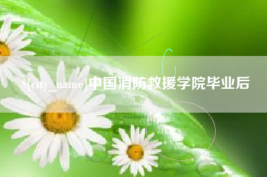 日照中国消防救援学院毕业后