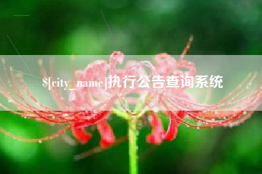 日照执行公告查询系统