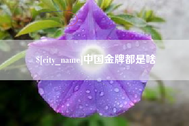 日照中国金牌都是啥