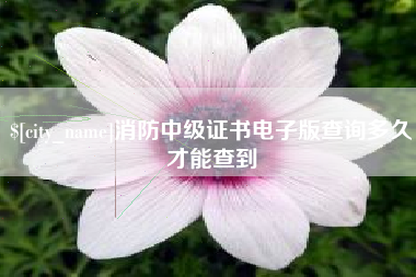 日照消防中级证书电子版查询多久才能查到