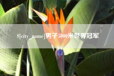 日照男子5000米世界冠军