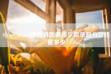 日照中国消防救援学院录取分数线是多少