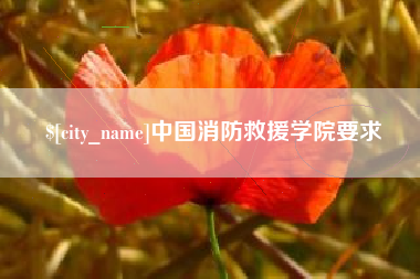 日照中国消防救援学院要求