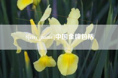 日照中国金牌包括