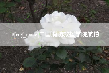 日照中国消防救援学院航拍