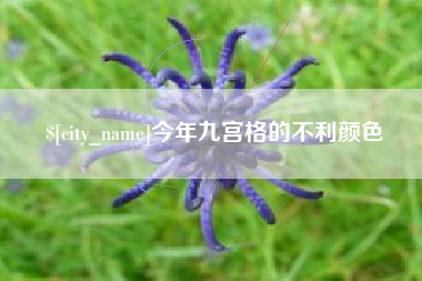 日照今年九宫格的不利颜色