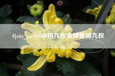 日照中国九枚金牌是哪九枚