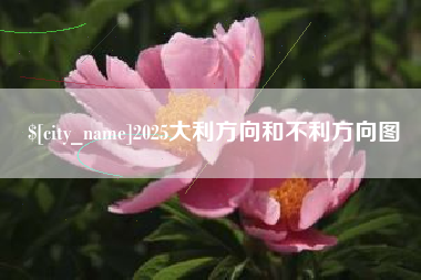 日照2025大利方向和不利方向图