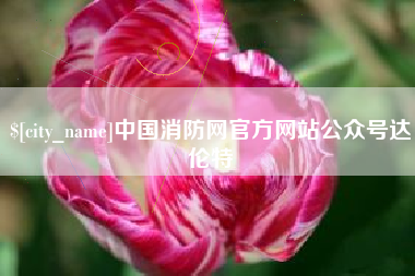 日照中国消防网官方网站公众号达伦特