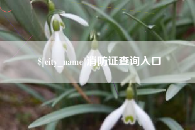 日照消防证查询入口