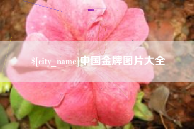 日照中国金牌图片大全