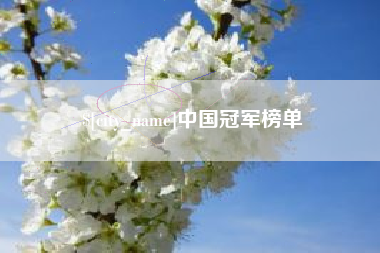 日照中国冠军榜单