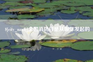 日照全国消防日是从哪年发起的