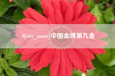 日照中国金牌第九金