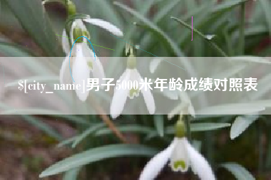 日照男子5000米年龄成绩对照表