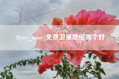 日照免费卫星地图哪个好