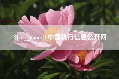 日照1.中国执行信息公开网