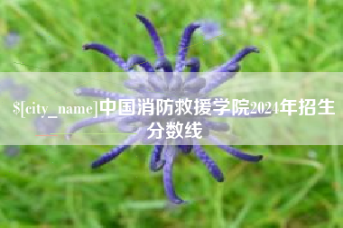 日照中国消防救援学院2024年招生分数线