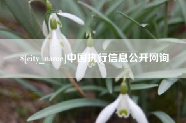 日照中国执行信息公开网询