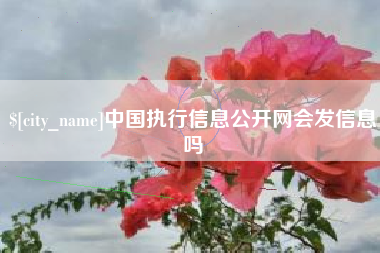 日照中国执行信息公开网会发信息吗