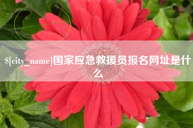 日照国家应急救援员报名网址是什么