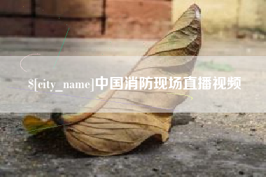 日照中国消防现场直播视频