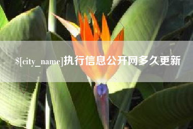 日照执行信息公开网多久更新