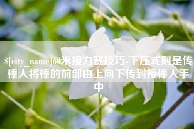 日照60米接力赛技巧-下压式则是传棒人将棒的前部由上向下传到接棒人手中