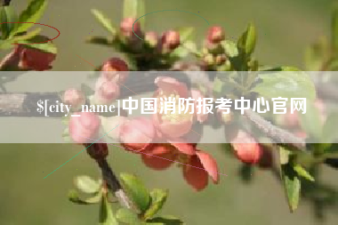 日照中国消防报考中心官网