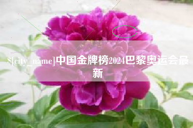 日照中国金牌榜2024巴黎奥运会最新