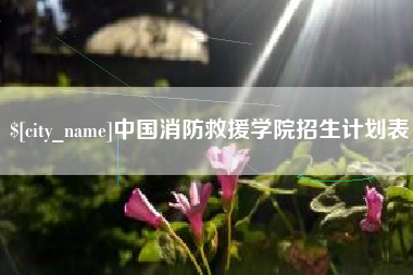 日照中国消防救援学院招生计划表