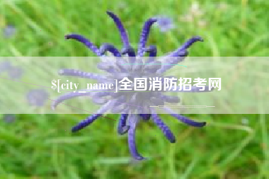 日照全国消防招考网