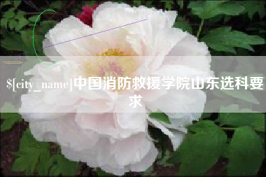 日照中国消防救援学院山东选科要求
